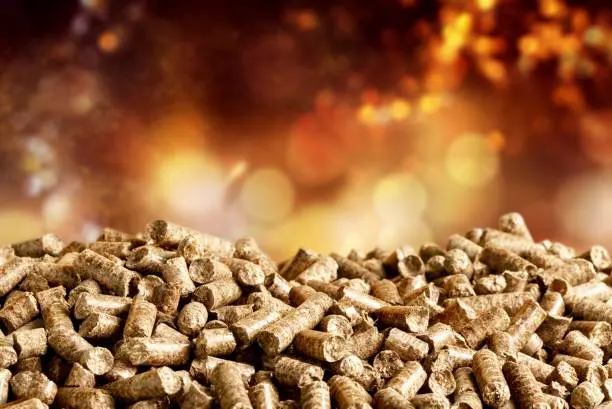 pellets y fuego